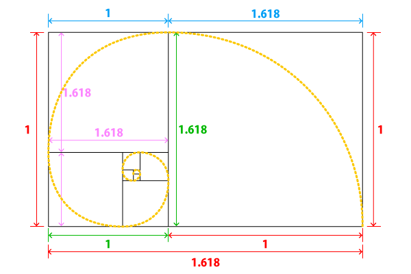 名刺にも使われる黄金比の不思議 アトリエj